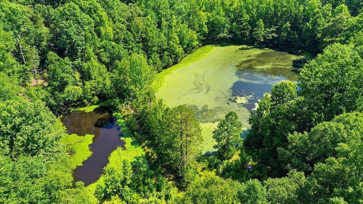 3006 Harris Bridge Road  ***  Woodruff SC 29388
