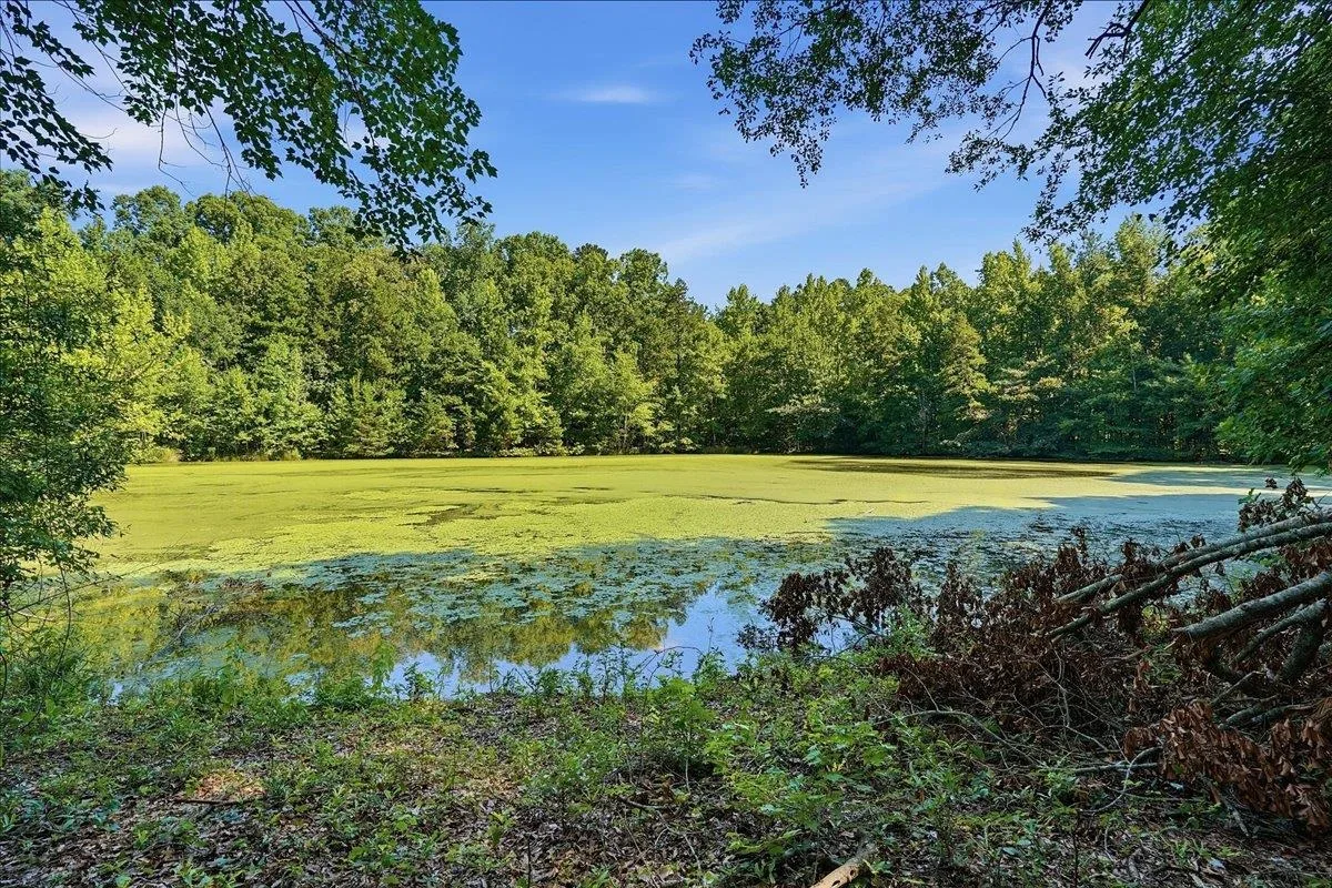 3006 Harris Bridge Road  ***  Woodruff SC 29388
