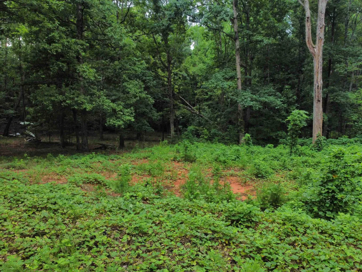200 Goforth Road *** Landrum SC 29356