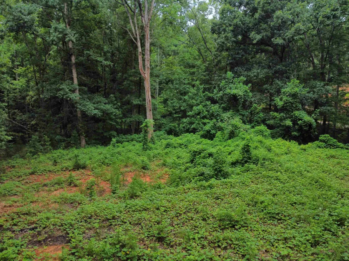 200 Goforth Road *** Landrum SC 29356