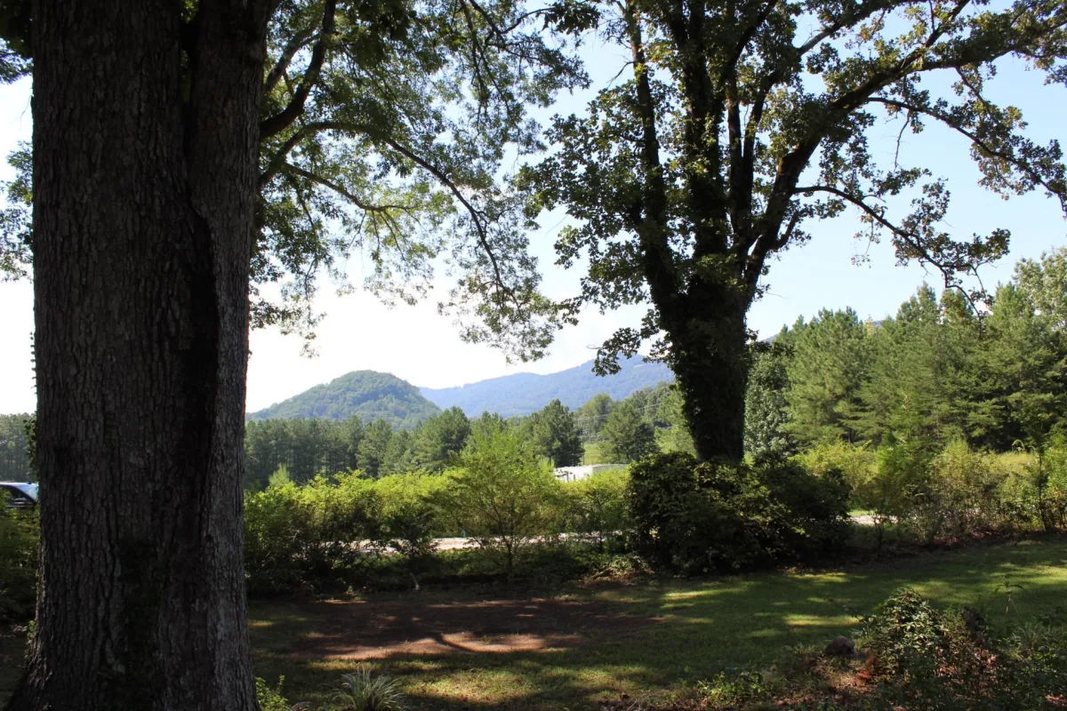 70 Fox Mountain Road Columbus NC 28722