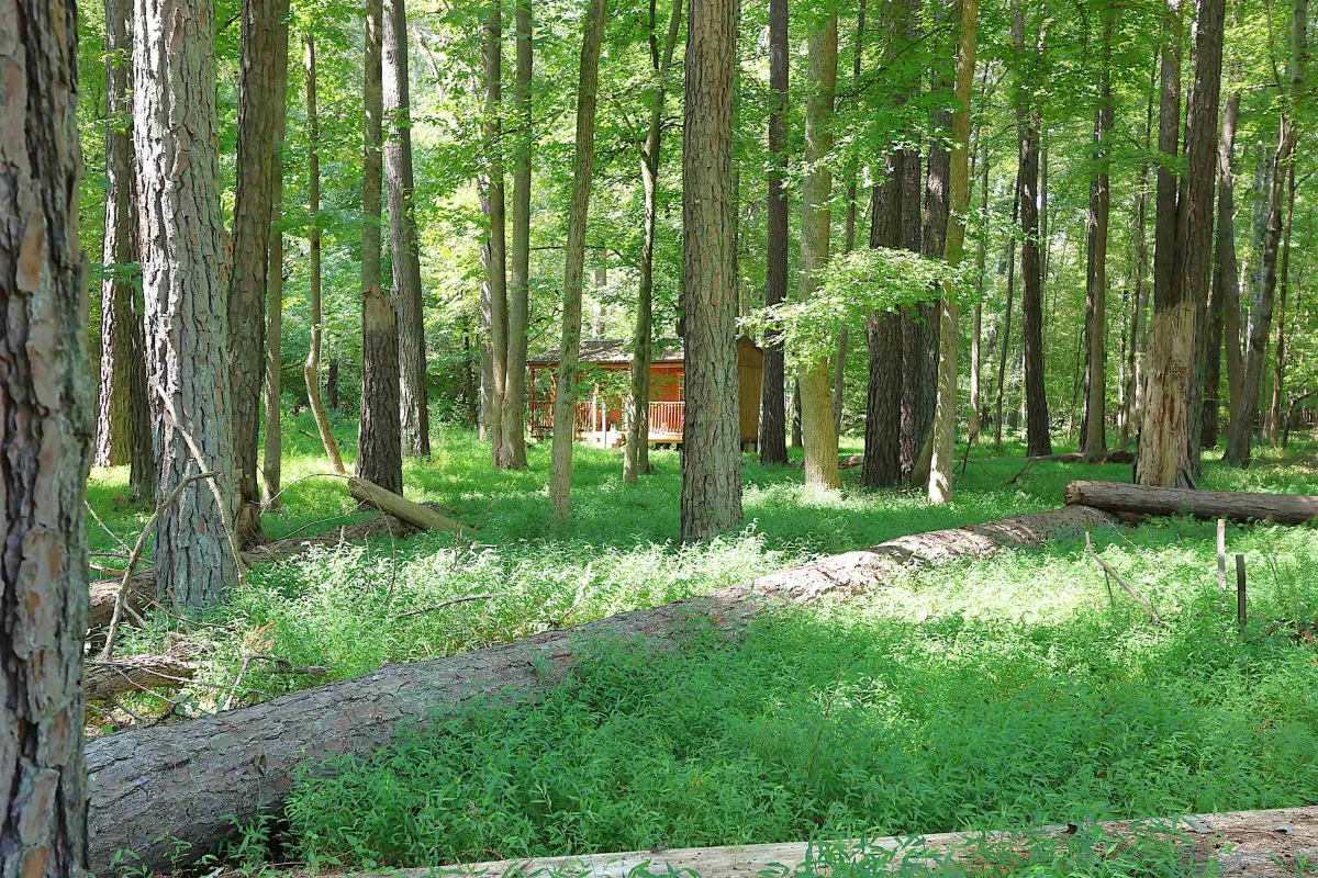 214 Sulpher Springs Road Pauline SC 29374