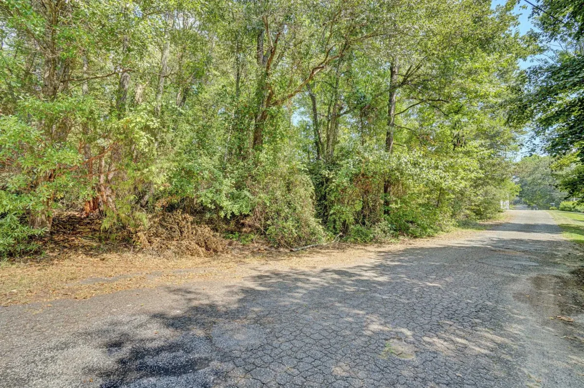 00 Palmetto Drive *** Greer SC 29651