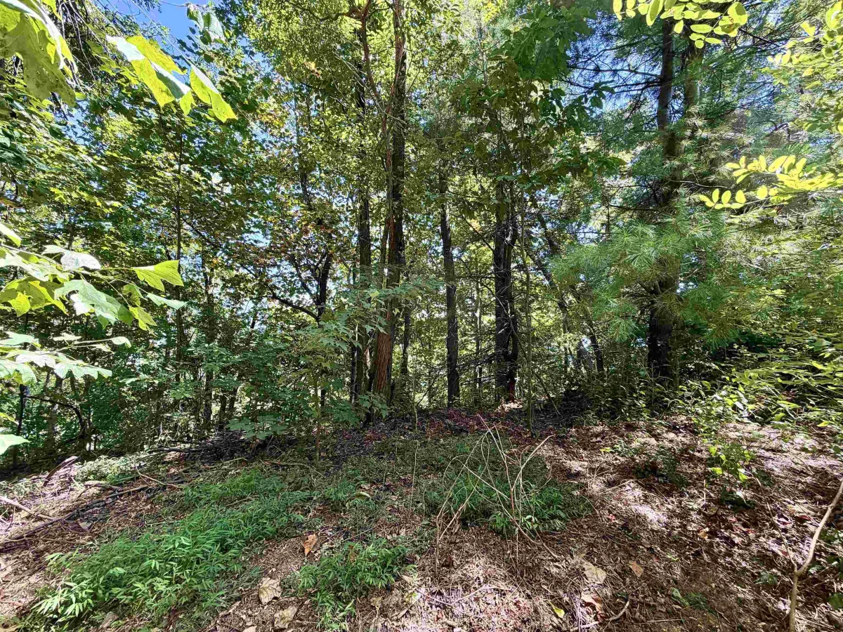 1424 Panther Park Trail  ***  Travelers Rest SC 29690